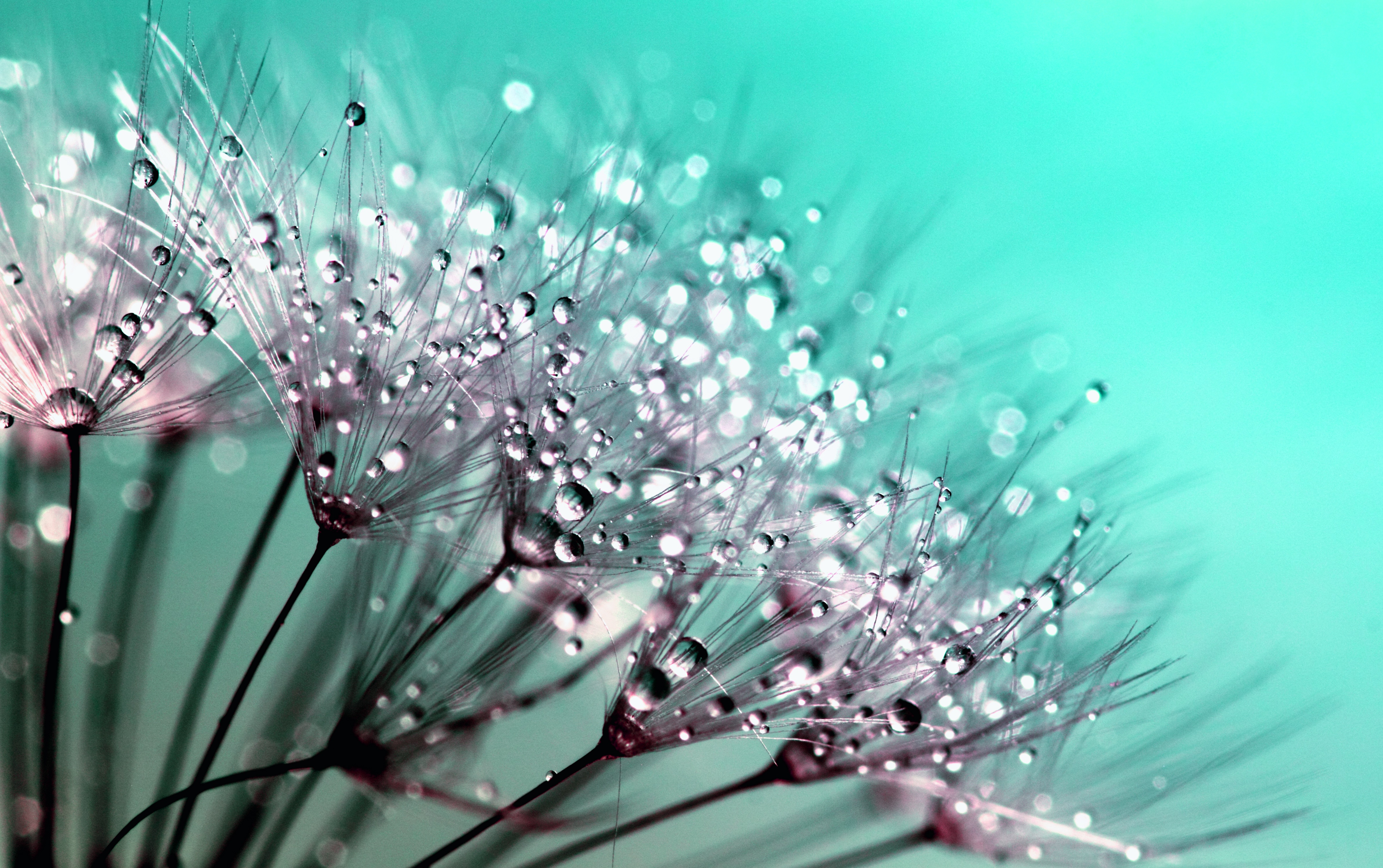 Are You Being Nurtured?